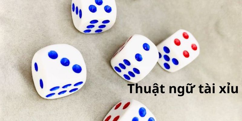 Phương pháp cách chơi tài xỉu luôn thắng